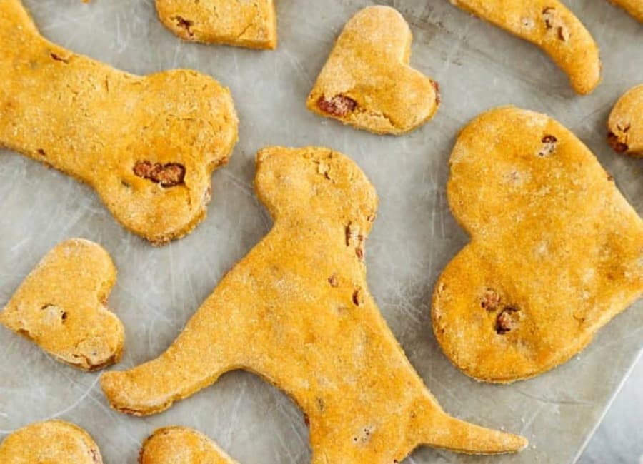 Top 10 Homemade Pumpkin Dog Treat Recipes